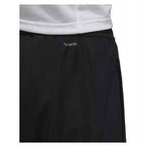 Adidas Team 19 Track Pant (m)