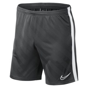 Nike Dri-fit Academy 19 Shorts
