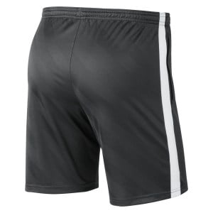 Nike Dri-fit Academy 19 Shorts
