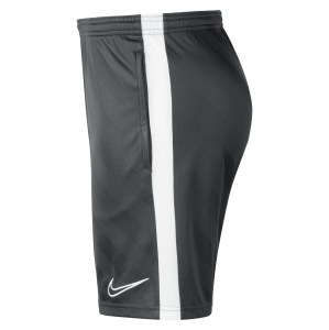 Nike Dri-fit Academy 19 Shorts
