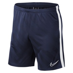 Nike Dri-fit Academy 19 Shorts Obsidian-White-White