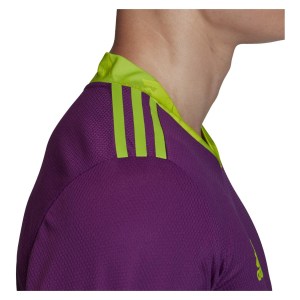 Adidas Adipro 20 Goalkeeper Jersey Glory Purple-Team Semi Sol Green