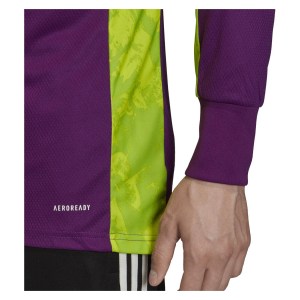 Adidas Adipro 20 Goalkeeper Jersey Glory Purple-Team Semi Sol Green