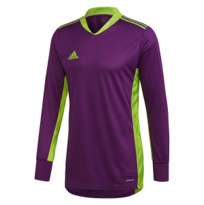 Adidas Adipro 20 Goalkeeper Jersey Glory Purple-Team Semi Sol Green