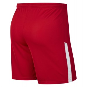 Nike Dri-fit League Knit II Shorts