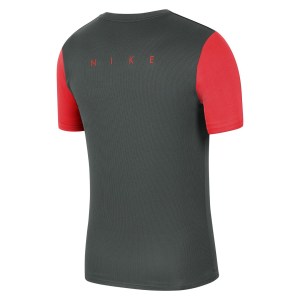 Nike Dri-fit Academy Pro Tee