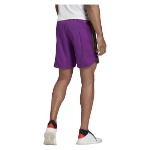 Adidas Condivo 20 Shorts Glory Purple-Team Semi Sol Green