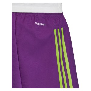 Adidas Condivo 20 Shorts Glory Purple-Team Semi Sol Green