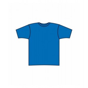 Prestige American Apparel Tri-blend Workout Tee Athletic Blue