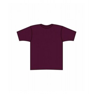 Prestige American Apparel Tri-blend Workout Tee Tri-Cranberry