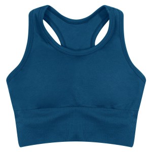 Womens Seamless Crop Top