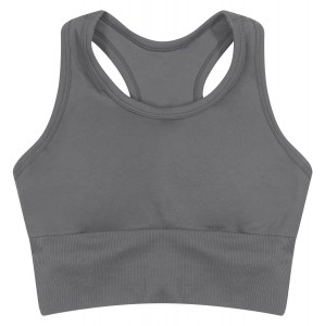 Womens Seamless Crop Top Iron Grey