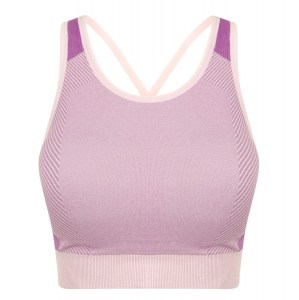 Womens Seamless Panelled Crop Top Light Pink-Purple