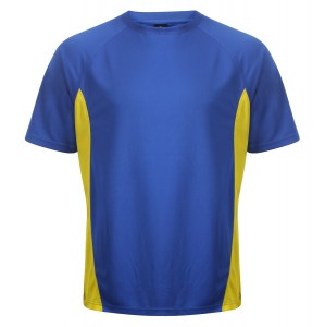 Behrens Training T-Shirt Royal-Yellow