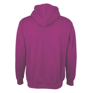 Classic OH Hoodie Grape