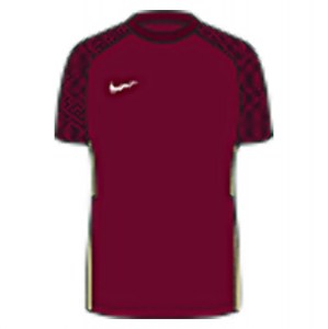 Nike Dri-FIT Strike 2 Jersey (M) Team Red-Jersey Gold-White