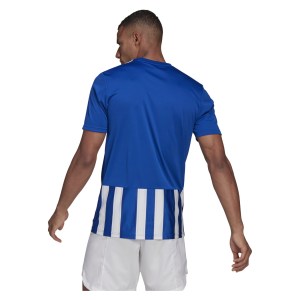 Adidas Striped 21 Jersey