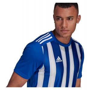 Adidas Striped 21 Jersey