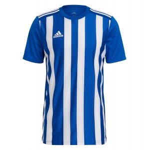 Adidas Striped 21 Jersey