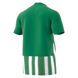 Adidas Striped 21 Jersey Team Green-White