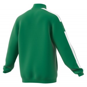 Adidas Squadra 21 Presentation Jacket Team Green-White