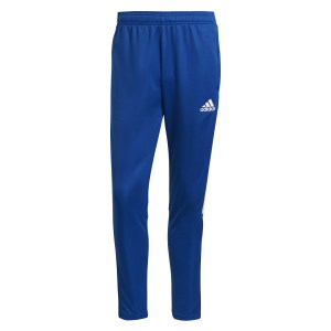Adidas Tiro 21 Training Pants (M) Team Royal Blue