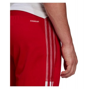 Adidas Tiro 21 Training Pants (M) Team Power Red