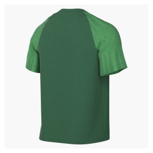 Nike Academy Short Sleeve Jersey Pine Green-Hyper Verde-White