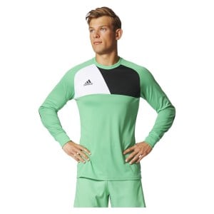 Adidas Assita 17 Goalkeeper Jersey Energy Green S17