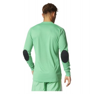 Adidas Assita 17 Goalkeeper Jersey Energy Green S17