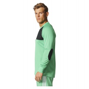 Adidas Assita 17 Goalkeeper Jersey Energy Green S17