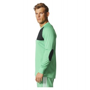 Adidas Assita 17 Goalkeeper Jersey Energy Green S17