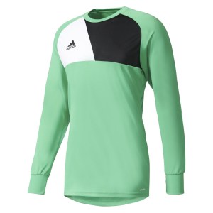 Adidas Assita 17 Goalkeeper Jersey Energy Green S17