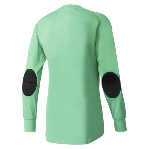 Adidas Assita 17 Goalkeeper Jersey Energy Green S17