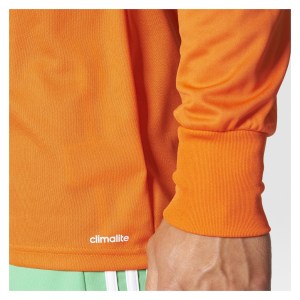 Adidas Assita 17 Goalkeeper Jersey