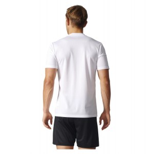 Adidas Squadra 17 Short Sleeve Jersey White-White