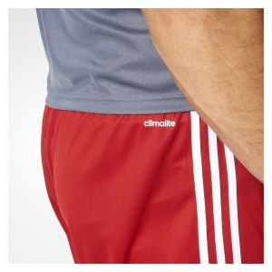 Adidas Squadra 17 Shorts