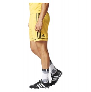 Adidas Squadra 17 Shorts Bold Gold - Black