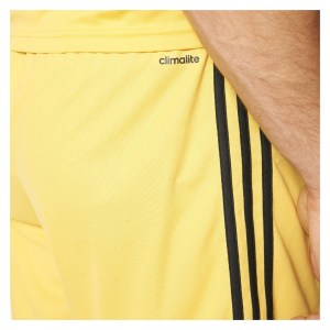 Adidas Squadra 17 Shorts Bold Gold - Black