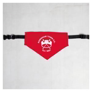 Pet Bandana with Black Collar