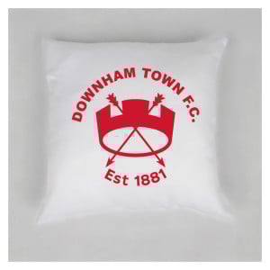 Cushion