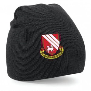 Original Pull on Beanie