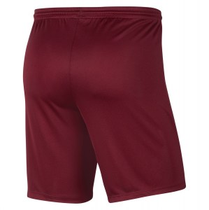 Nike Park III Shorts