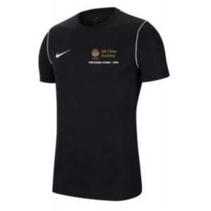 Nike Park 20 Short-Sleeve Training Tee