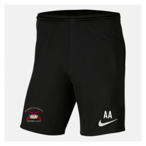 Nike Park III Shorts