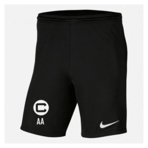 Nike Park III Shorts