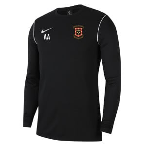 Nike Dri-FIT Park 20 Crew Top