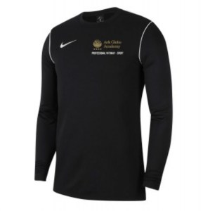 Nike Dri-FIT Park 20 Crew Top