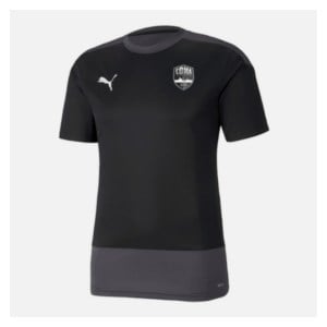 Puma Goal Training Shirt