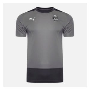 Puma Goal Training Shirt Grey-Asphalt